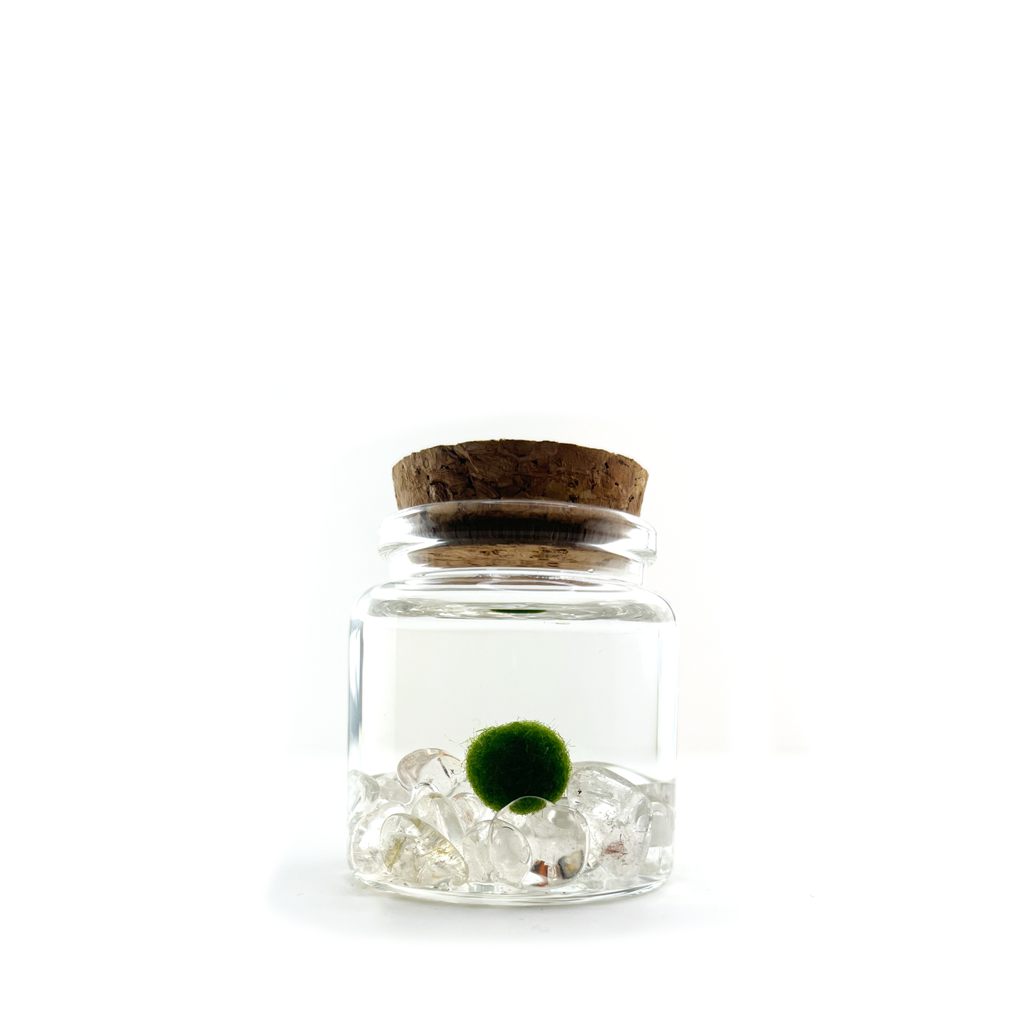 Clear Quartz Moss Rico
