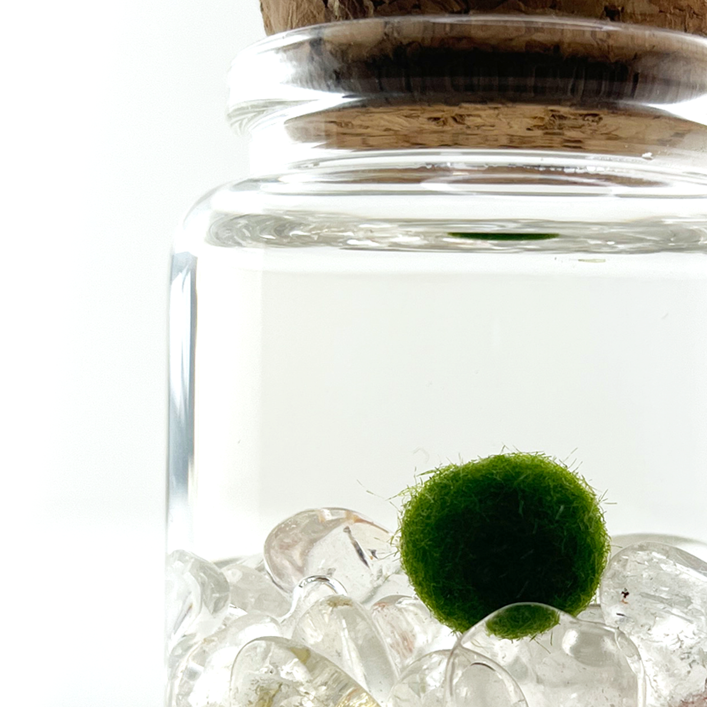 Clear Quartz Moss Rico