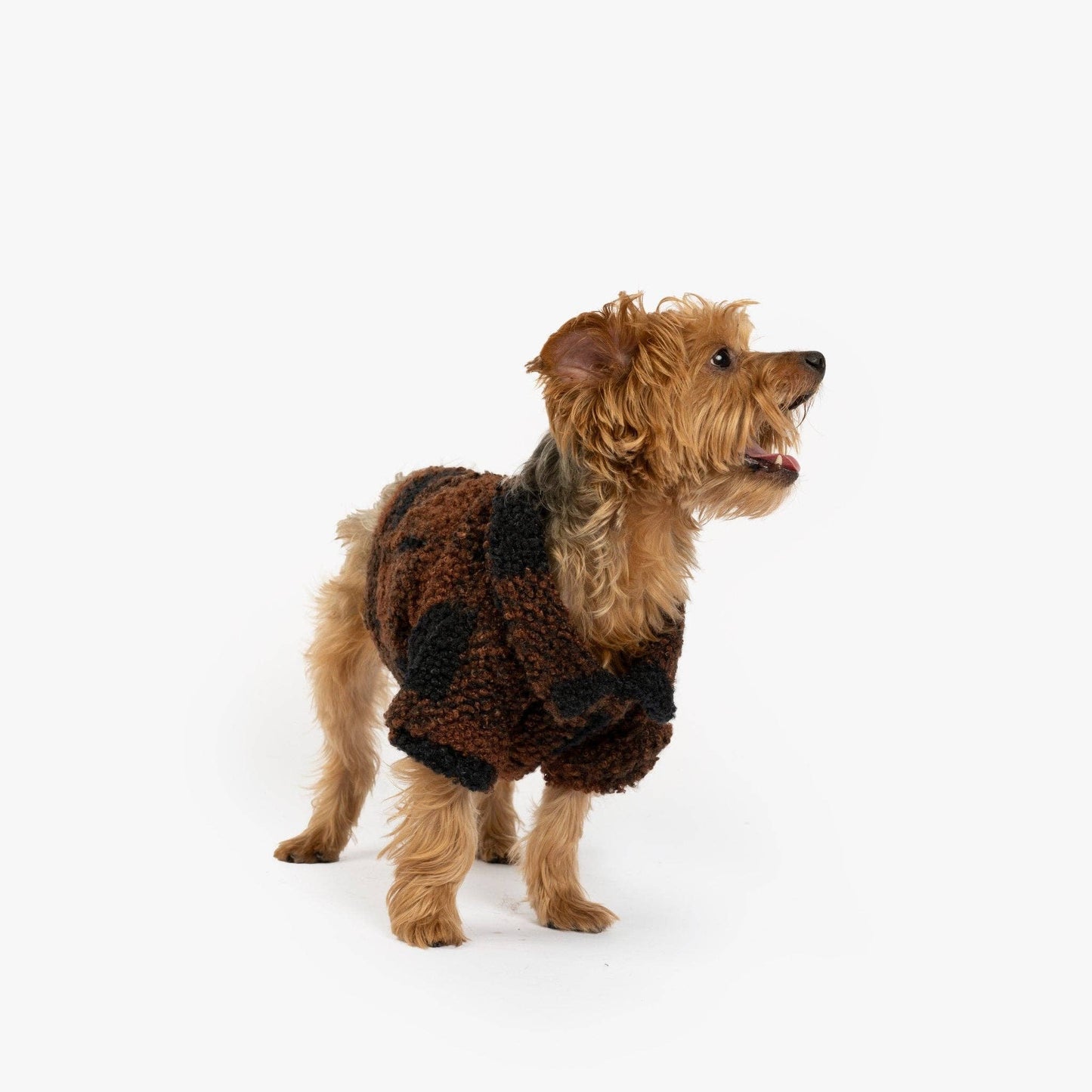 Humpfrey Dog Jacket | Large