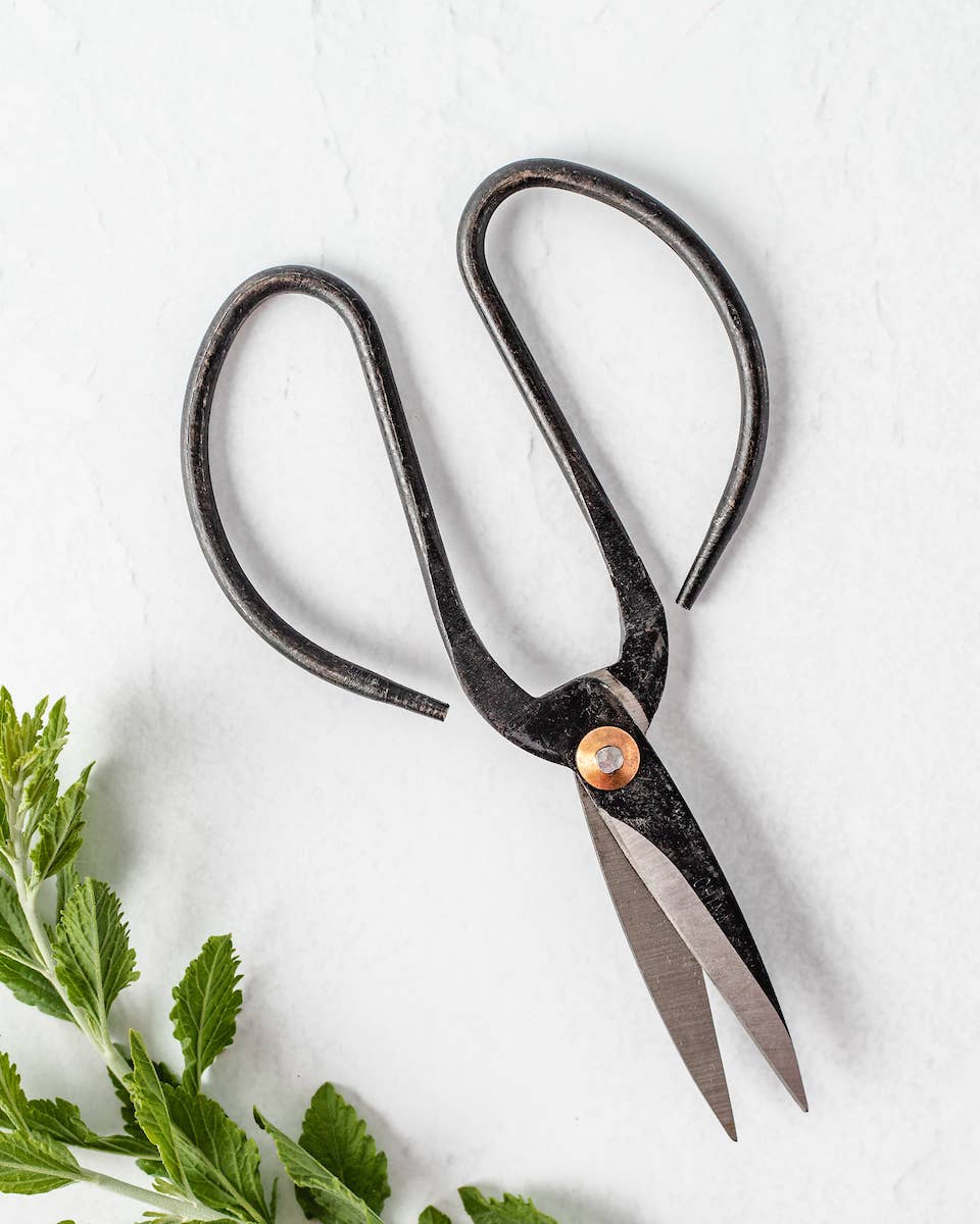 Black Metal Scissors | Medium Vintage Inspired Shears