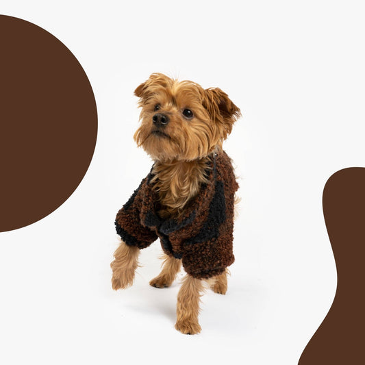 Humpfrey Dog Jacket | Medium